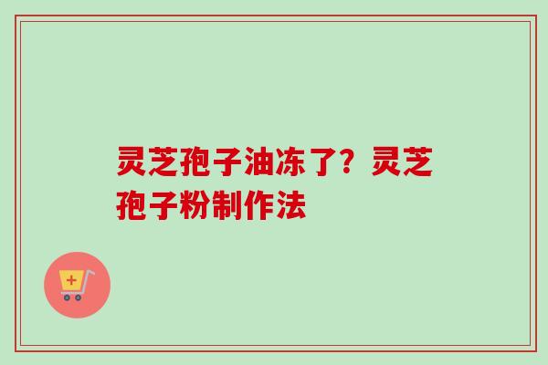 灵芝孢子油冻了？灵芝孢子粉制作法