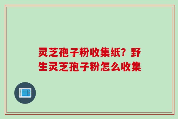 灵芝孢子粉收集纸？野生灵芝孢子粉怎么收集