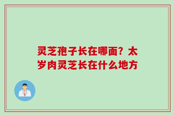 灵芝孢子长在哪面？太岁肉灵芝长在什么地方