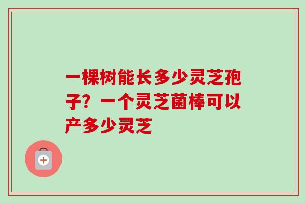 一棵树能长多少灵芝孢子？一个灵芝菌棒可以产多少灵芝