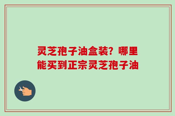 灵芝孢子油盒装？哪里能买到正宗灵芝孢子油
