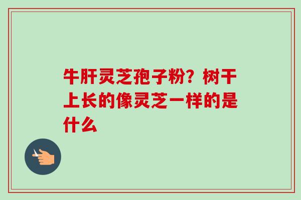 牛肝灵芝孢子粉？树干上长的像灵芝一样的是什么