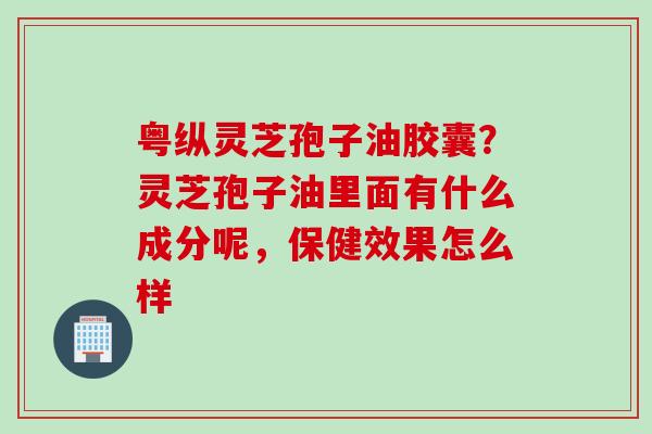 粤纵灵芝孢子油胶囊？灵芝孢子油里面有什么成分呢，保健效果怎么样