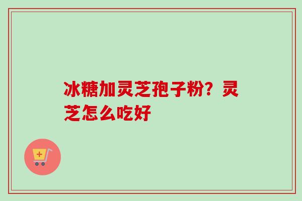 冰糖加灵芝孢子粉？灵芝怎么吃好