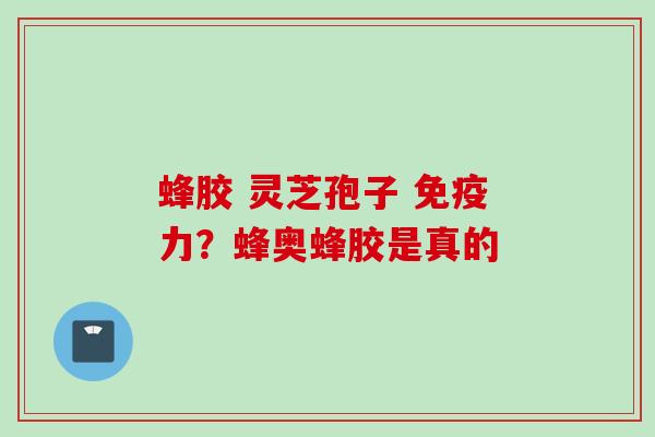 蜂胶 灵芝孢子 免疫力？蜂奥蜂胶是真的