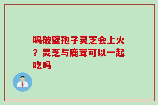 喝破壁孢子灵芝会上火？灵芝与鹿茸可以一起吃吗