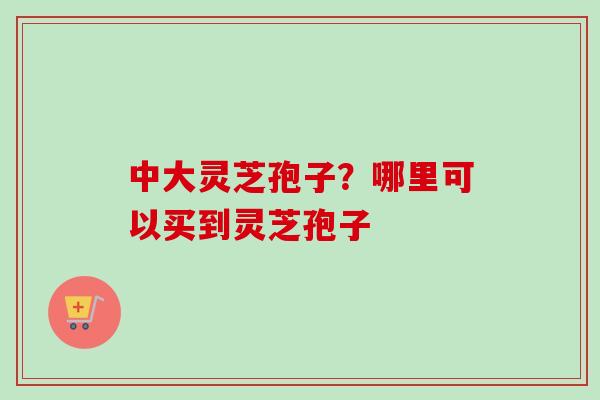 中大灵芝孢子？哪里可以买到灵芝孢子