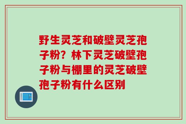 野生灵芝和破壁灵芝孢子粉？林下灵芝破壁孢子粉与棚里的灵芝破壁孢子粉有什么区别