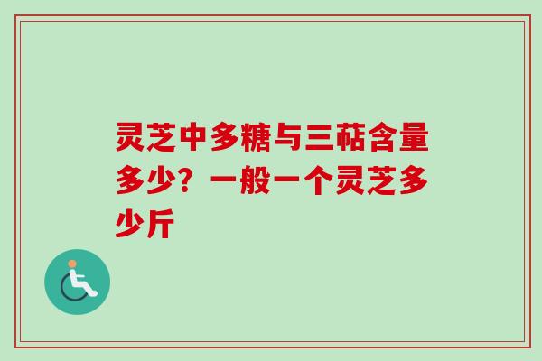 灵芝中多糖与三萜含量多少？一般一个灵芝多少斤