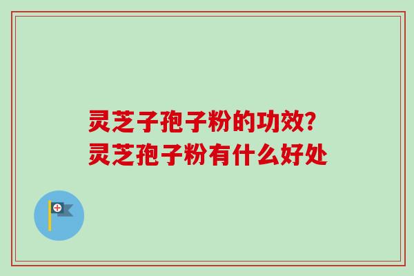 灵芝子孢子粉的功效？灵芝孢子粉有什么好处