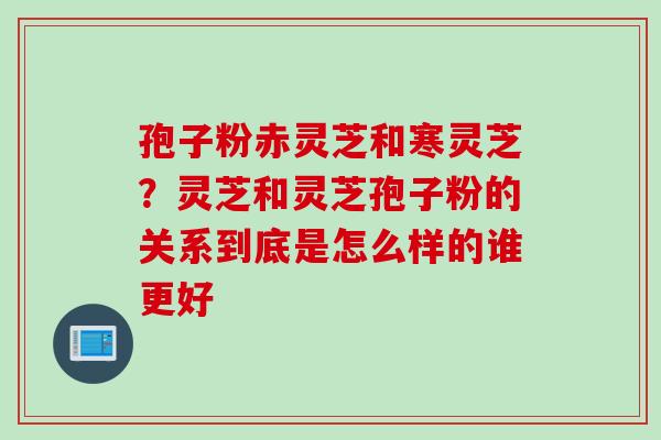 孢子粉赤灵芝和寒灵芝？灵芝和灵芝孢子粉的关系到底是怎么样的谁更好