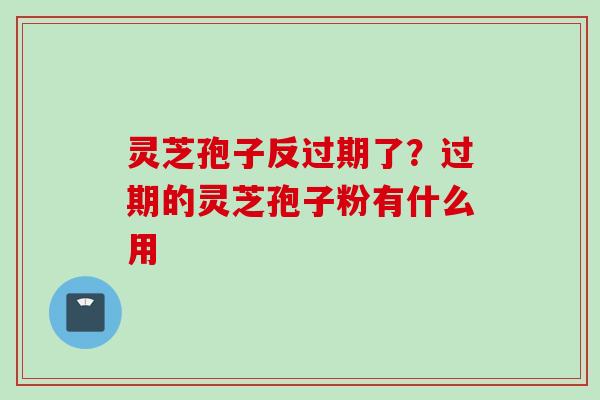 灵芝孢子反过期了？过期的灵芝孢子粉有什么用