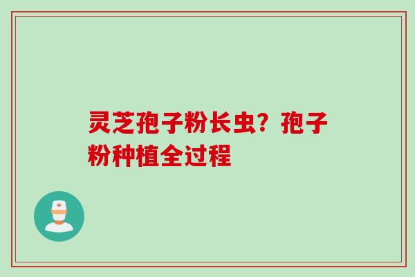 灵芝孢子粉长虫？孢子粉种植全过程