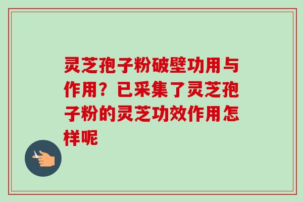 灵芝孢子粉破壁功用与作用?已采集了灵芝孢子粉的灵芝功效作用怎样呢 灵芝孢子粉破壁功用与作用?已采集了灵芝孢子粉的灵芝功效作用怎样呢