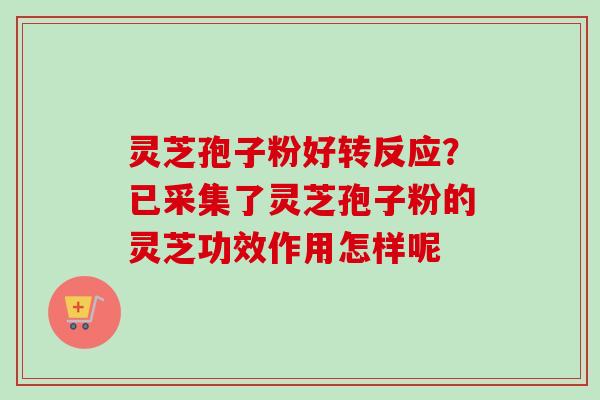 灵芝孢子粉好转反应?已采集了灵芝孢子粉的灵芝功效作用怎样呢 灵芝孢子粉好转反应?已采集了灵芝孢子粉的灵芝功效作用怎样呢