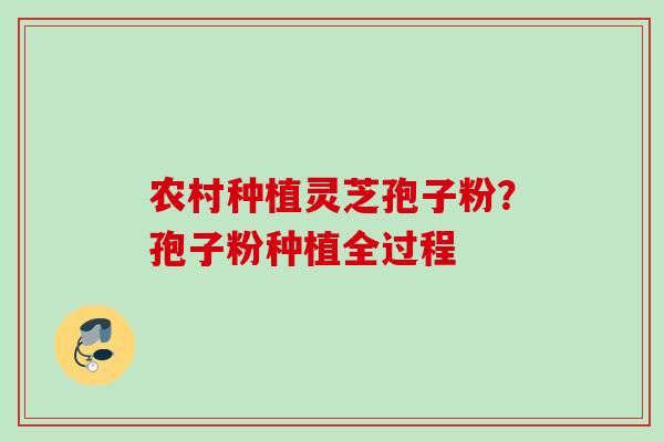 农村种植灵芝孢子粉？孢子粉种植全过程