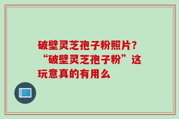 破壁灵芝孢子粉照片？“破壁灵芝孢子粉”这玩意真的有用么