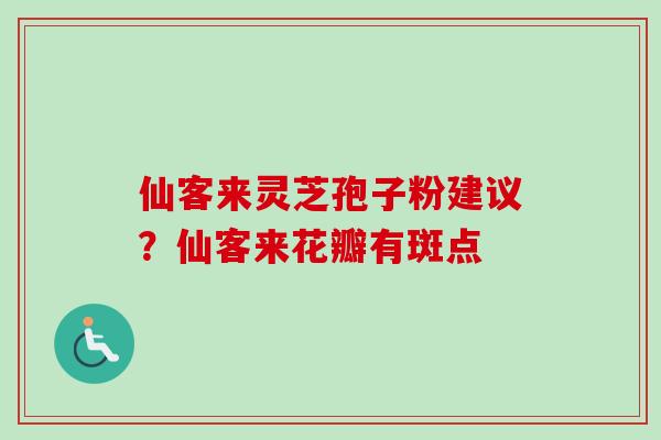 仙客来灵芝孢子粉建议？仙客来花瓣有斑点