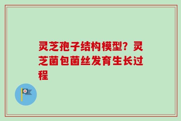 灵芝孢子结构模型？灵芝菌包菌丝发育生长过程
