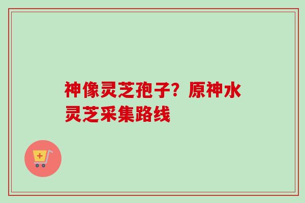 神像灵芝孢子？原神水灵芝采集路线