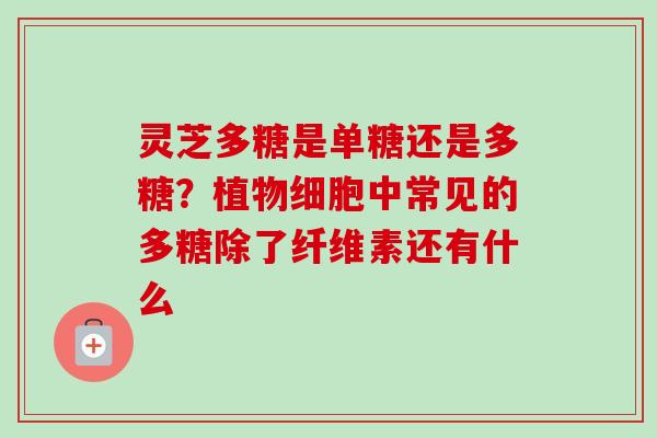 灵芝多糖是单糖还是多糖？植物细胞中常见的多糖除了纤维素还有什么