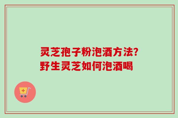 灵芝孢子粉泡酒方法?野生灵芝如何泡酒喝 灵芝孢子粉泡酒方法?野生灵芝如何泡酒喝