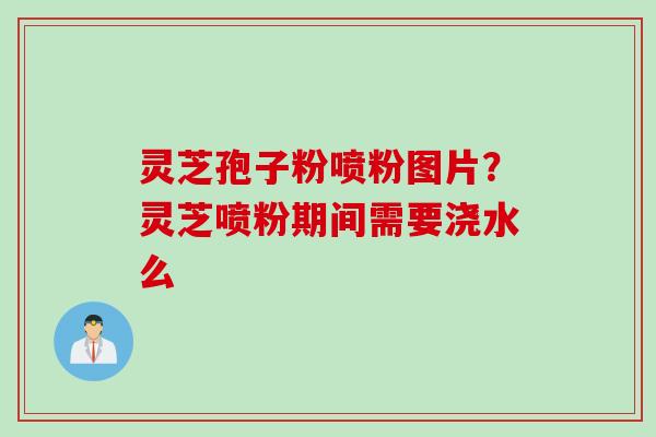 灵芝孢子粉喷粉图片？灵芝喷粉期间需要浇水么