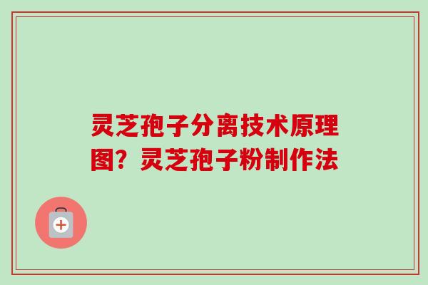 灵芝孢子分离技术原理图？灵芝孢子粉制作法