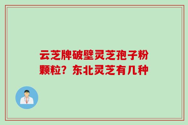 云芝牌破壁灵芝孢子粉颗粒？东北灵芝有几种