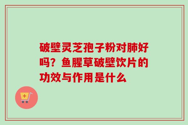 破壁灵芝孢子粉对肺好吗？鱼腥草破壁饮片的功效与作用是什么