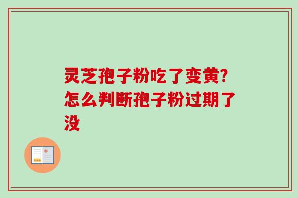 灵芝孢子粉吃了变黄？怎么判断孢子粉过期了没