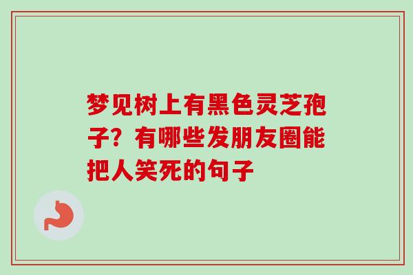 梦见树上有黑色灵芝孢子?有哪些发朋友圈能把人笑死的句子 梦见树上有黑色灵芝孢子?有哪些发朋友圈能把人笑死的句子