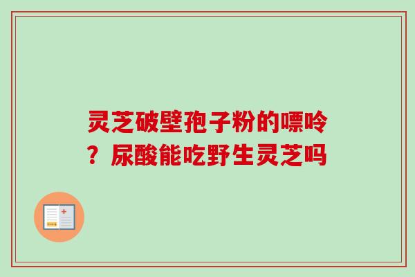灵芝破壁孢子粉的嘌呤?尿酸能吃野生灵芝吗 灵芝破壁孢子粉的嘌呤?尿酸能吃野生灵芝吗