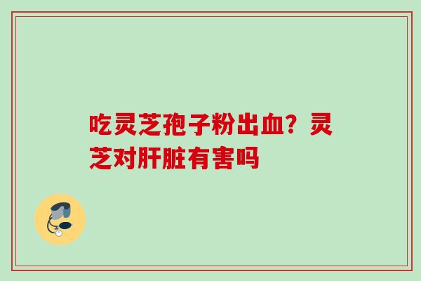 吃灵芝孢子粉出血？灵芝对肝脏有害吗