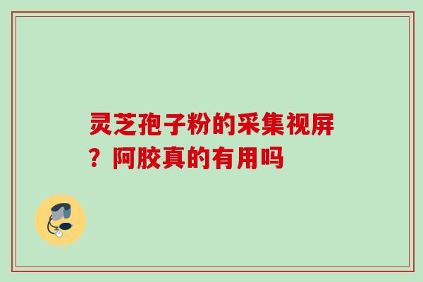 灵芝孢子粉的采集视屏？阿胶真的有用吗