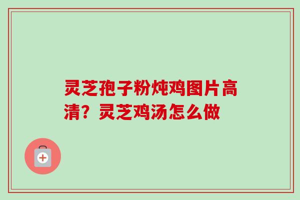 灵芝孢子粉炖鸡图片高清？灵芝鸡汤怎么做