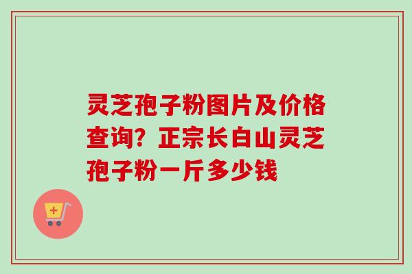 灵芝孢子粉图片及价格查询？正宗长白山灵芝孢子粉一斤多少钱