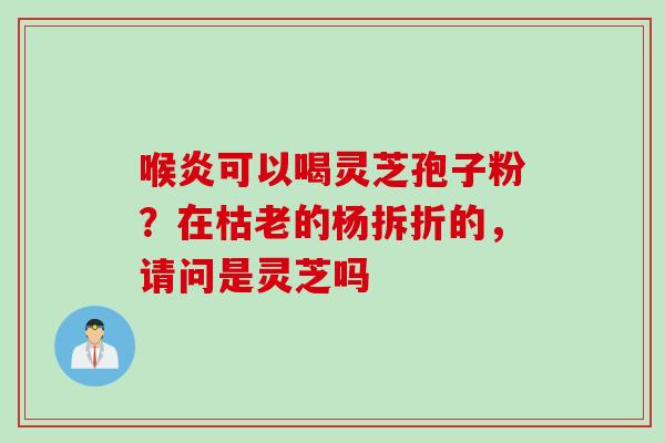 喉炎可以喝灵芝孢子粉？在枯老的杨拆折的，请问是灵芝吗