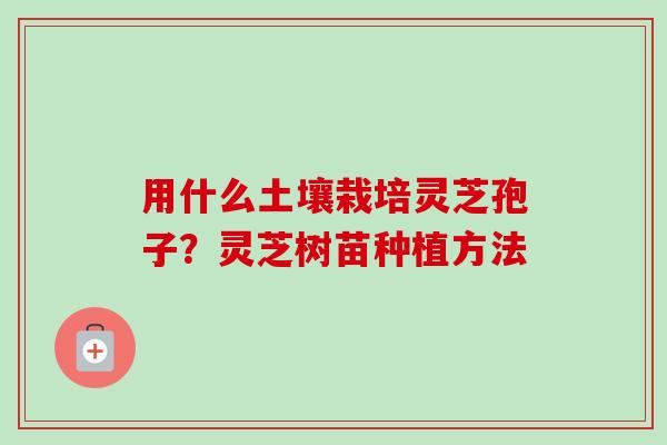 用什么土壤栽培灵芝孢子？灵芝树苗种植方法