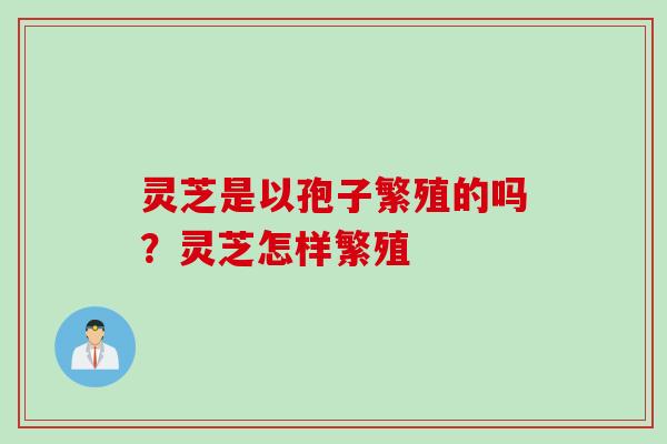 灵芝是以孢子繁殖的吗？灵芝怎样繁殖