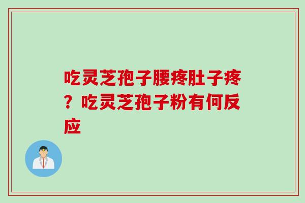 吃灵芝孢子腰疼肚子疼？吃灵芝孢子粉有何反应