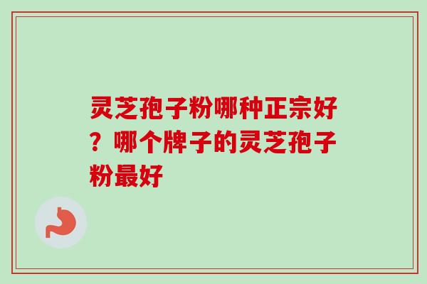 灵芝孢子粉哪种正宗好？哪个牌子的灵芝孢子粉最好