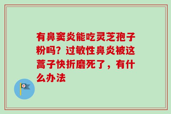 有鼻窦炎能吃灵芝孢子粉吗？过敏性鼻炎被这蒿子快折磨死了，有什么办法
