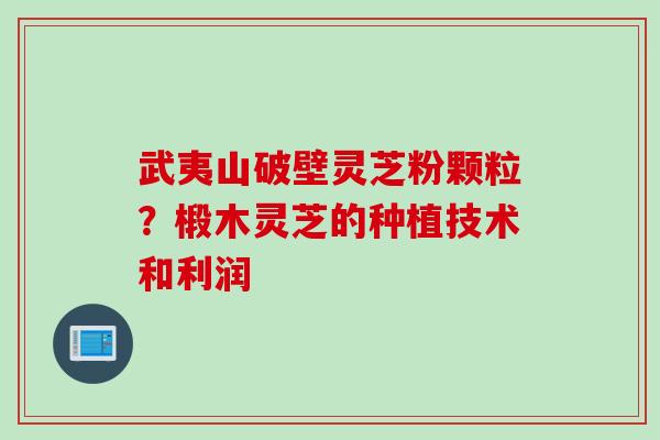 武夷山破壁灵芝粉颗粒？椴木灵芝的种植技术和利润