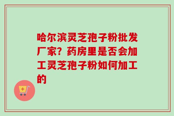 哈尔滨灵芝孢子粉批发厂家？药房里是否会加工灵芝孢子粉如何加工的