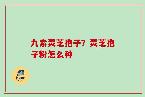 九素灵芝孢子？灵芝孢子粉怎么种