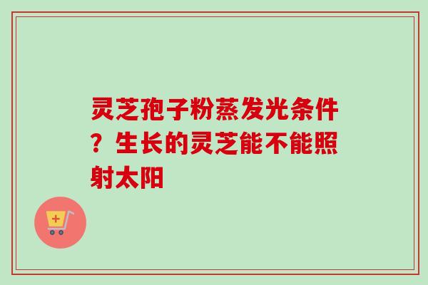 灵芝孢子粉蒸发光条件？生长的灵芝能不能照射太阳
