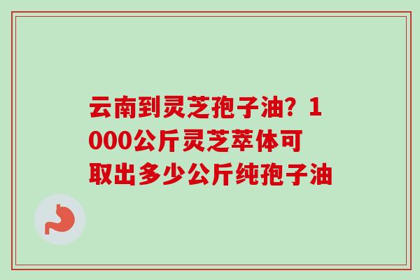 云南到灵芝孢子油？1000公斤灵芝萃体可取出多少公斤纯孢子油