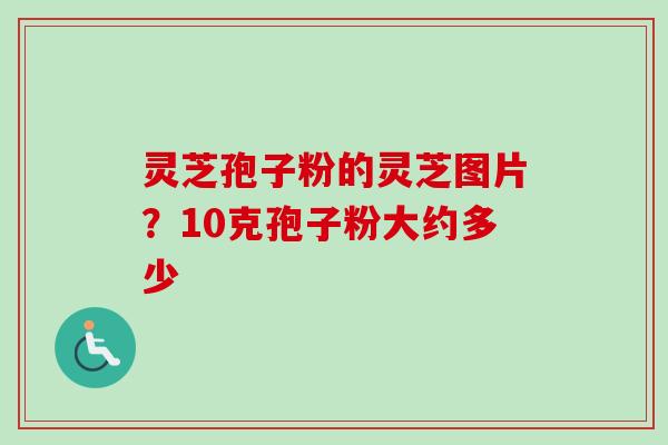 灵芝孢子粉的灵芝图片？10克孢子粉大约多少