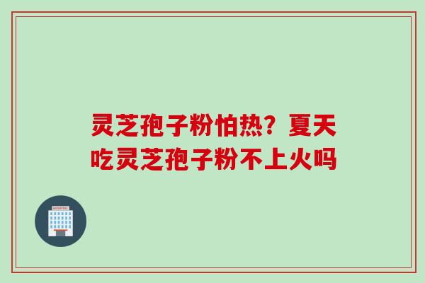 灵芝孢子粉怕热？夏天吃灵芝孢子粉不上火吗